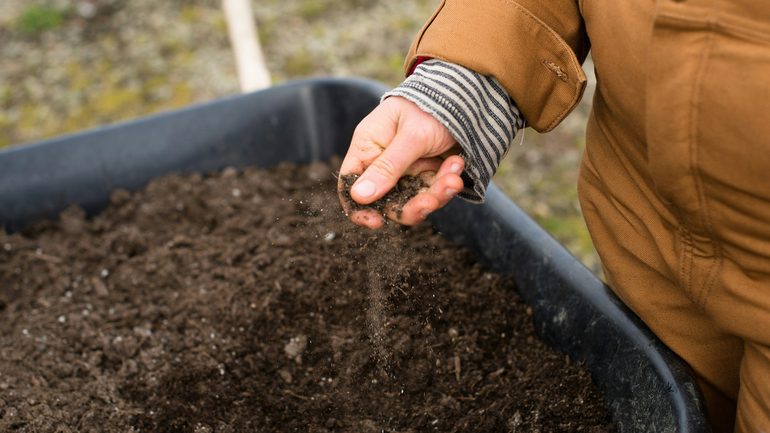Kvinne sjekker jordkvalitet