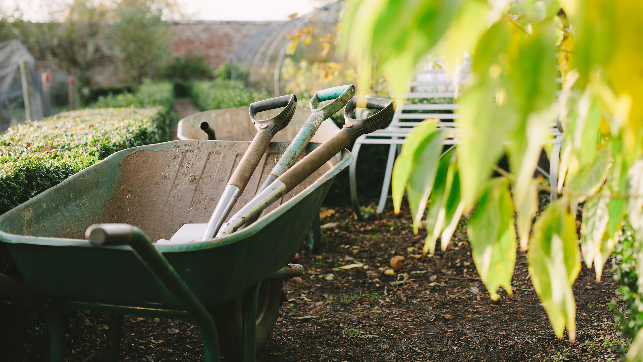 Bilde til artikkelen Unngå spredning av fremmede arter i anleggsprosjekt